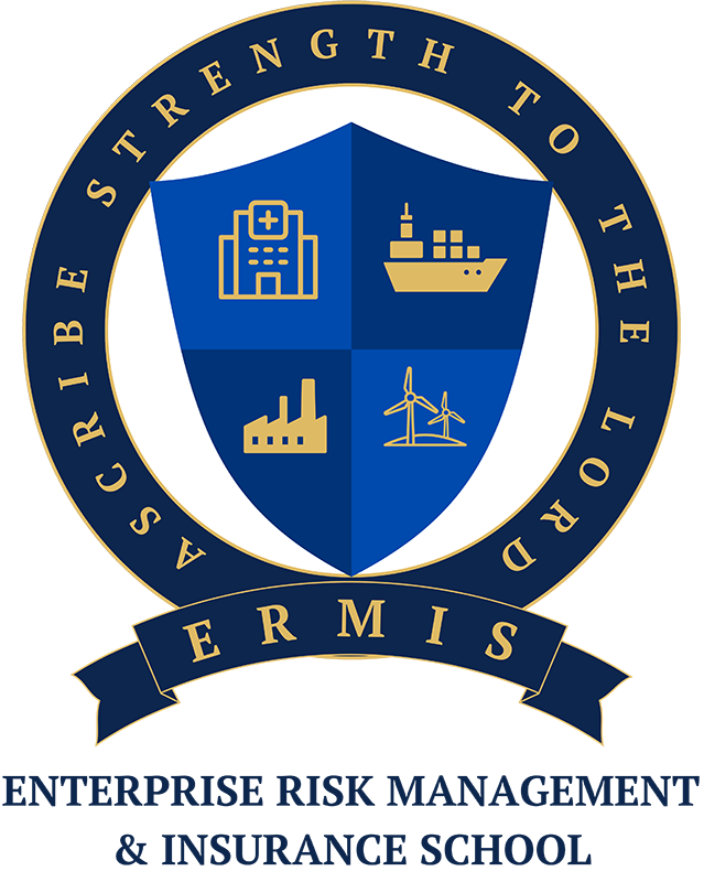 Enterprise Risk Management and Insurance School
